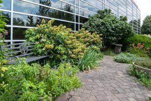 Purdue Technology Center of Southeast Indiana, Sensory Garden by Purdue Master Gardeners